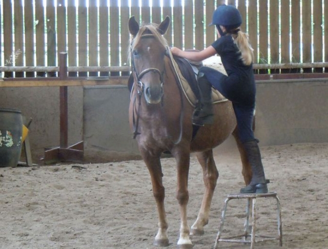 Equitation enfant en Ille et Vilaine